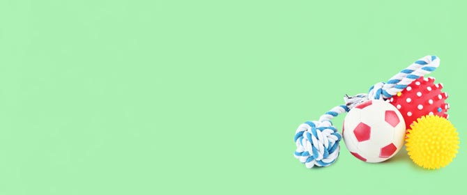 articoli per animali